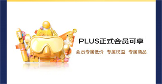 京东plus年卡是什么意思