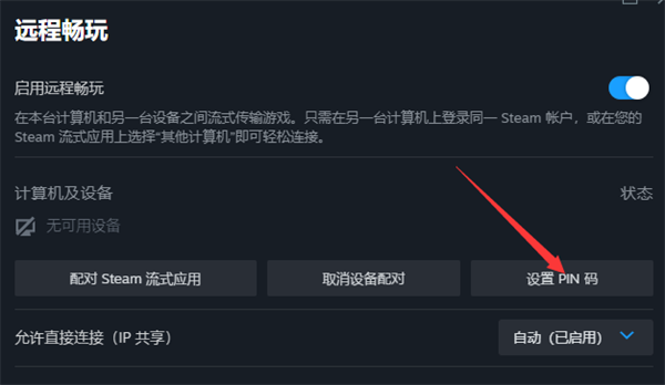 steam怎么设置流式传输PIN码