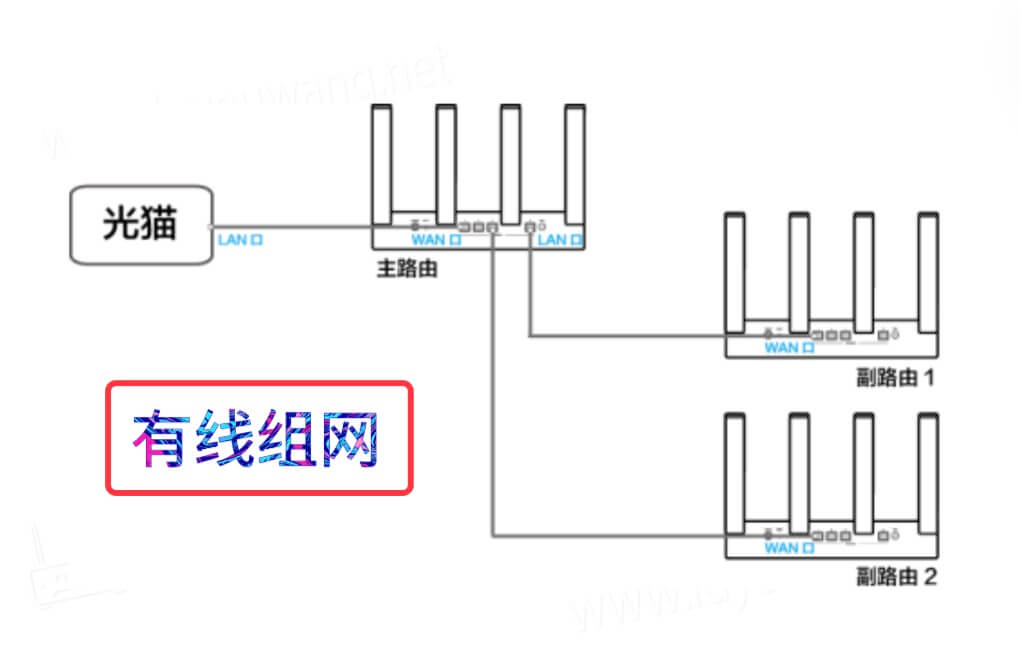 有线组网