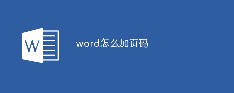 word如何加页码