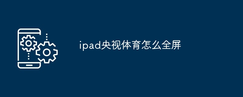 ipad央视体育怎么全屏