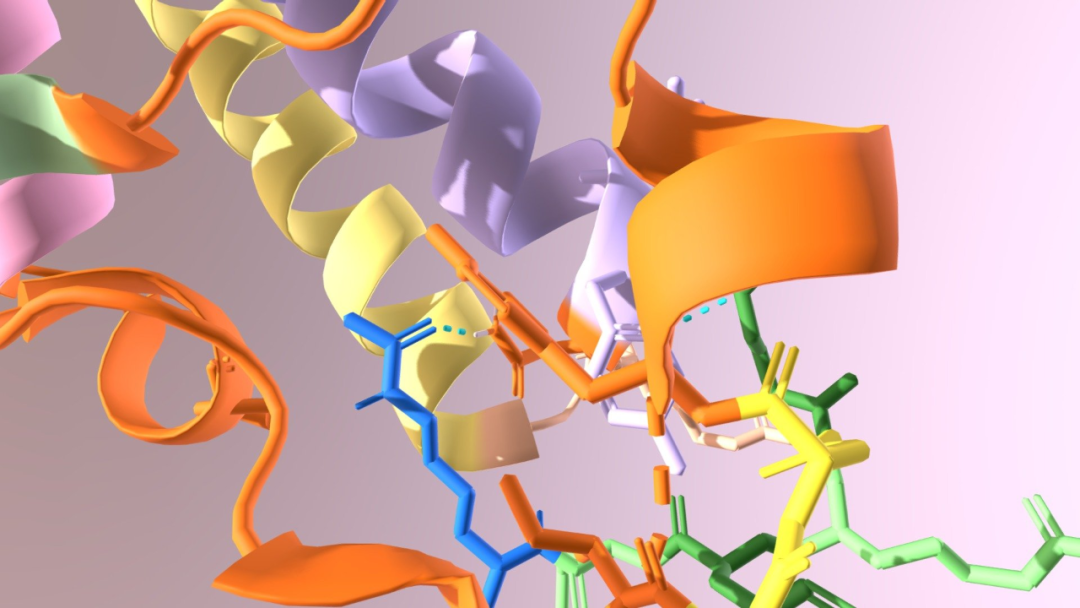 仅几秒，准确推断蛋白动力学信息，山大、北理工等ai模型rmsf-net登nature子刊